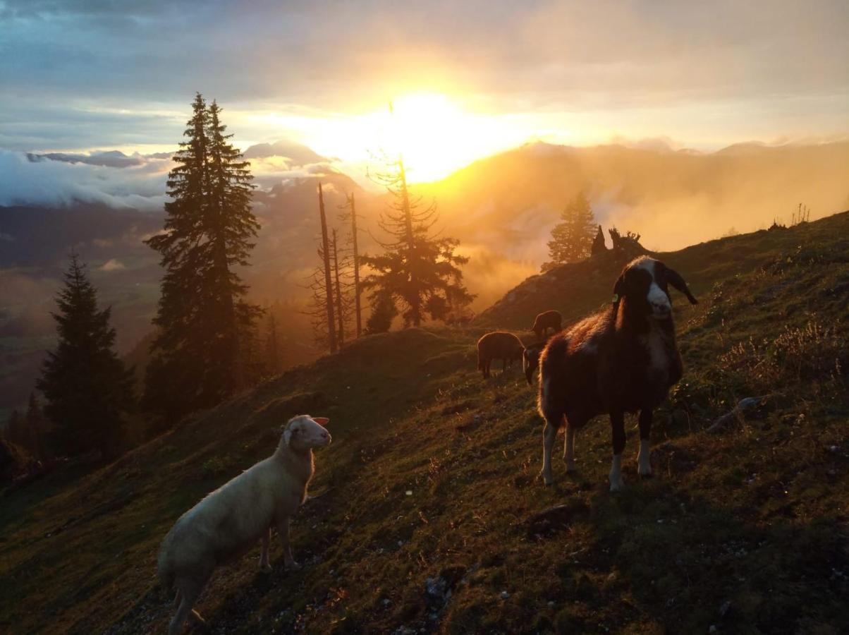 Apartmán Spulhof Abtenau Exteriér fotografie