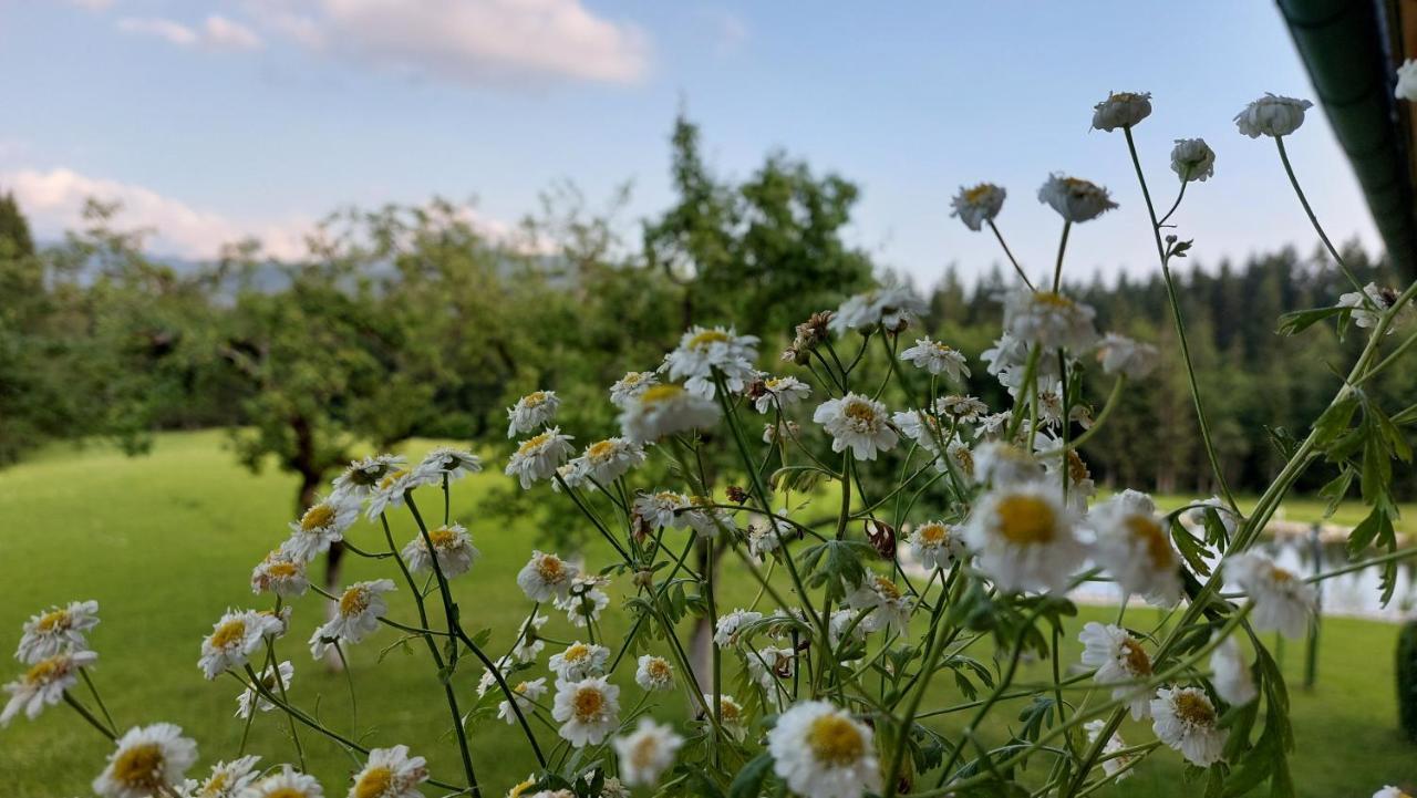 Apartmán Spulhof Abtenau Exteriér fotografie