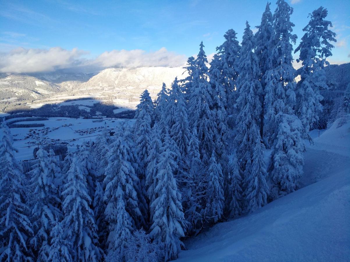 Apartmán Spulhof Abtenau Exteriér fotografie