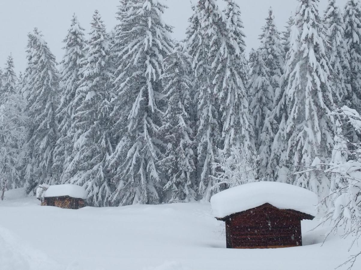 Apartmán Spulhof Abtenau Exteriér fotografie